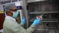 Ini artinya setiap hari ada kekurangan suplai darah 350 hingga 450 kantong darah.