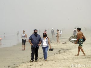 Sejumlah Pantai di AS Ditutup gegara Serangan Koloni Bakteri