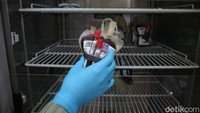 Oleh karenanya PMI menghimbau masyarakat yang sehat untuk melakukan donor darah. 