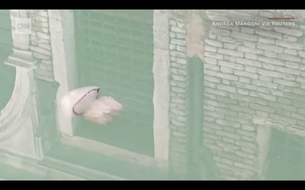 Seorang ahli biologi, Andrew Mangoni, yang merekam video ubur-ubur ini di dekat St Marks Square, Venesia. Area ini biasanya dipenuhi oleh para wisatawan. Sebelumnya, air jernaih juga memperlihatkan ikan-ikan kecil (Foto: CNN) Seorang ahli biologi, Andrew Mangoni, yang merekam video ubur-ubur ini di dekat St Marks Square, Venesia. Area ini biasanya dipenuhi oleh para wisatawan. Sebelumnya, air jernaih juga memperlihatkan ikan-ikan kecil (Foto: CNN)