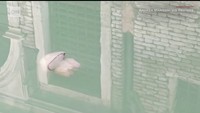 Seorang ahli biologi, Andrew Mangoni, yang merekam video ubur-ubur ini di dekat St Marks Square, Venesia. Area ini biasanya dipenuhi oleh para wisatawan. Sebelumnya, air jernaih juga memperlihatkan ikan-ikan kecil (Foto: CNN)