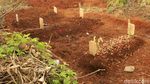 Di TPU Cikadut Ini Korban Corona Bandung Dimakamkan