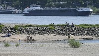 Anak-anak tampak bermain di tepi Sungai Rhine yang mengering.