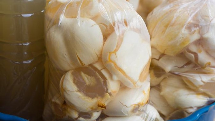 Buah lontar