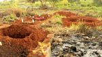 Di TPU Cikadut Ini Korban Corona Bandung Dimakamkan