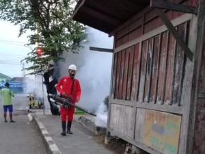 Jangan Lengah! Saat Pandemi Corona Ini 145 Warga Kulon Progo Kena DBD
