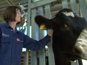 Australia Beri Pelatihan Jadi Detektif Hewan Untuk Cegah Pandemi Berikutnya
