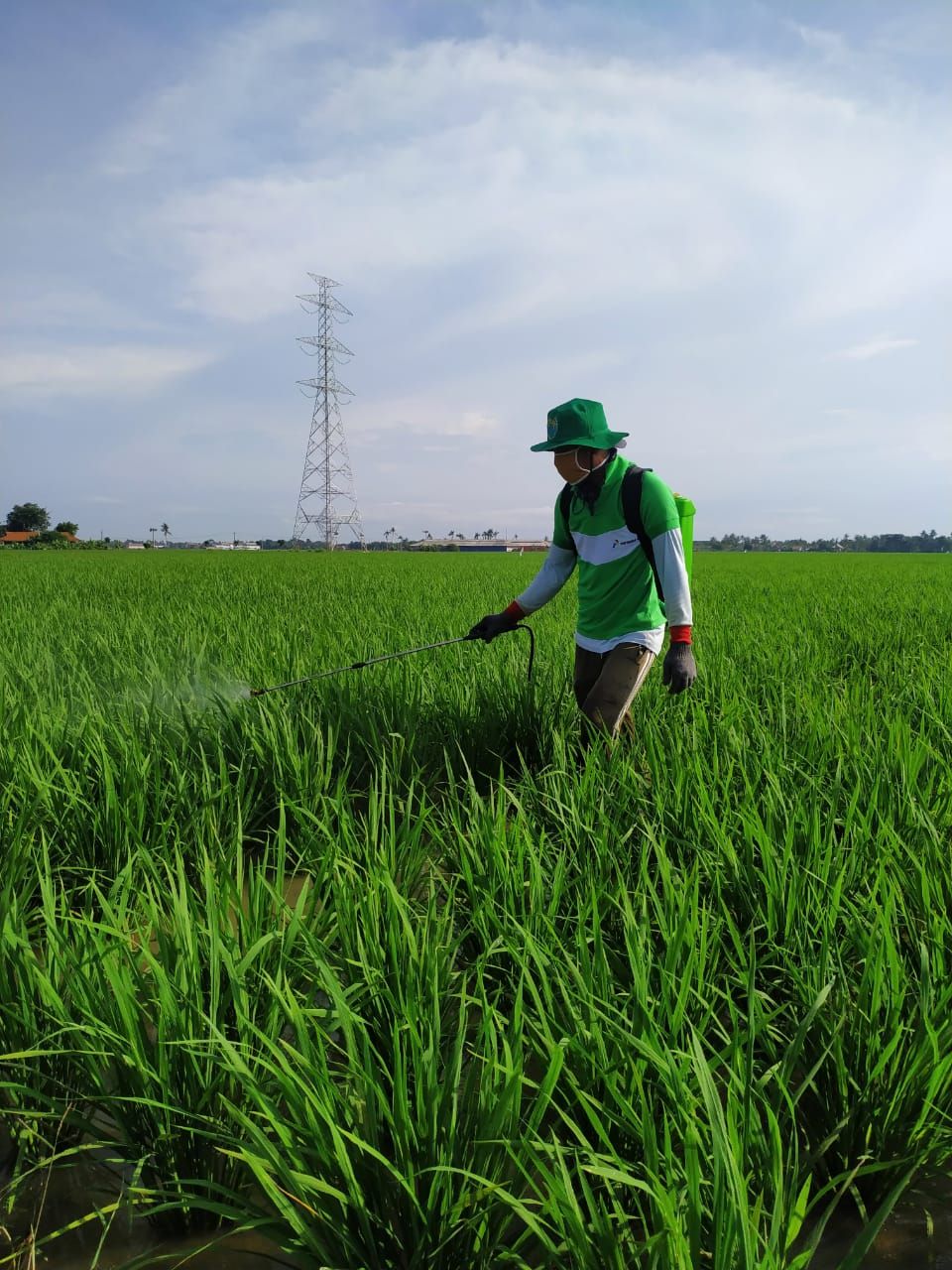 Dok: Pertamina