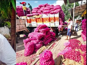 Niat! Demi Bisa Mudik, Pria Ini Beli Puluhan Ribu Kg Bawang dan Nyamar Jadi Pedagang