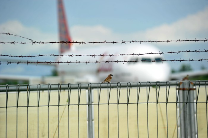 Seekor burung pipit dengan latar pesawat udara komersil yang tidak beroperasional, di Bandara Internasional Minangkabau (BIM), Padangpariaman, Sumatera Barat, Sabtu (25/4/2020). PT Angkasa Pura II selaku pengelola Bandara Internasional Minangkabau meniadakan seluruh penerbangan penumpang mulai Sabtu 25 April 2020 hingga 1 Juni 2020 menindaklanjuti Peraturan Menteri Perhubungan Nomor 25 Tahun 2020 tentang Pengendalian Transportasi Selama Musim Mudik Idul Fitri 1441 H dalam rangka Pencegahan Penyebaran COVID-19. ANTARA FOTO/Iggoy el Fitra/hp.
