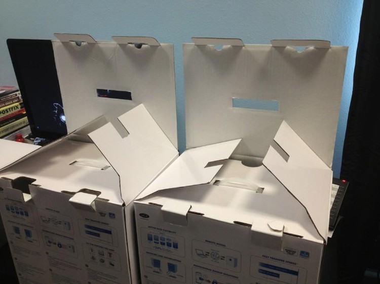 Pareidolia Pareidolia