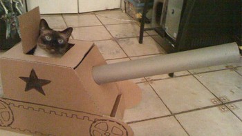 Anda bisa juga lho bikin sendiri yang seperti ini (Foto: sadanduseless)