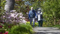  Warga menikmati bunga musim semi di Oregon, AS (11/4/2020). Musim semi tahun ini tidak seceria seperti biasanya karena Corona. Chris Pietsch/The Register-Guard via AP, File