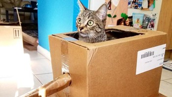 Tak perlu alat-alat mahal untuk membua tank. (Foto: sadanduseless)