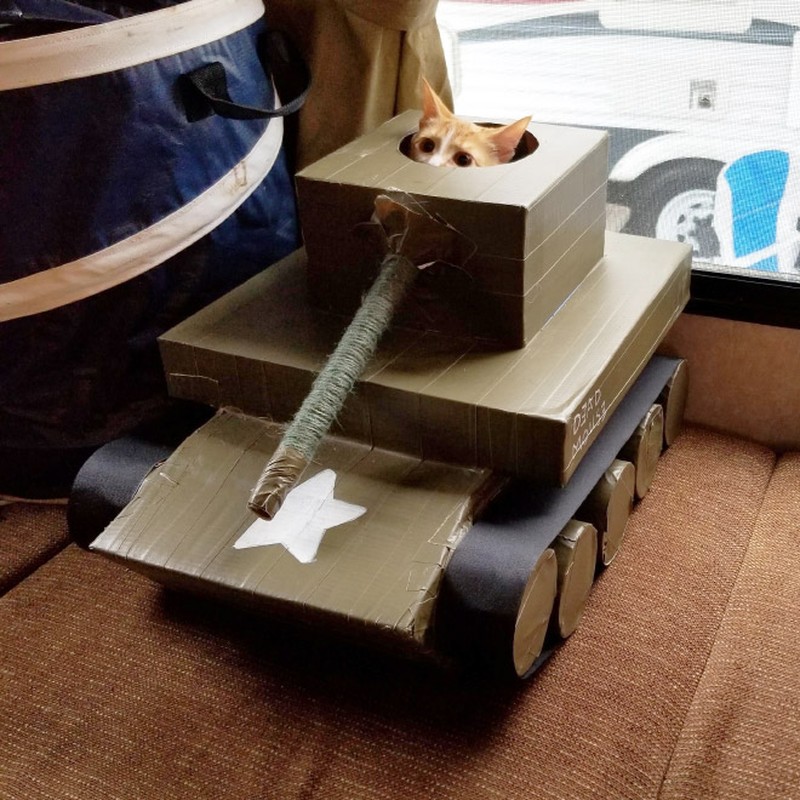 potret kucing karton tank