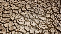 Tinggi permukaan air di kawasan bendungan Mangatawhiri turun di bawah kapasitas 50 persen.