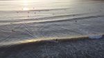 Kembali Ramai, Begini Geliat Aktivitas di Pantai Selandia Baru