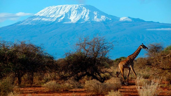 7 gunung tertinggi di dunia, everest, elbrus, aconcagua, puncak jaya, vinson massif, denali, dan kilimanjaro