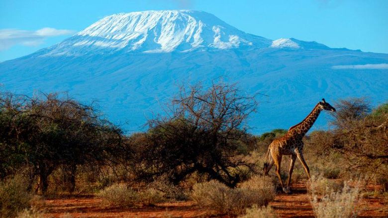 7 gunung tertinggi di dunia 7 gunung tertinggi di dunia, everest, elbrus, aconcagua, puncak jaya, vinson massif, denali, dan kilimanjaro
