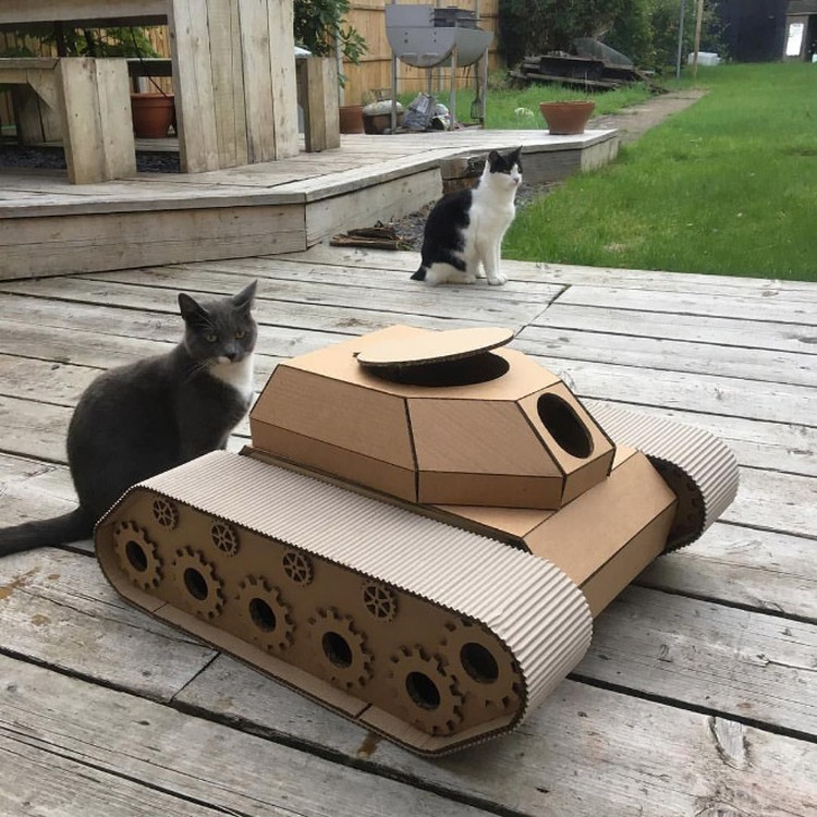potret kucing karton tank