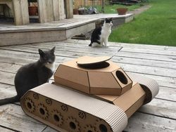 Hilangkan Bosan Isolasi, Pemilik Kucing Buatkan Tank dari Kardus