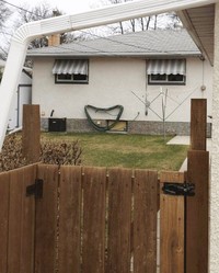 Pareidolia