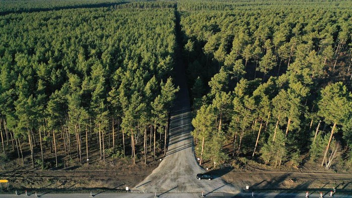 Tesla Babat Hutan untuk Pabrik Baru di Jerman Produsen mobil listrik Amerika Serikat, Tesla membangun pabrik baru di Jerman. Lokasi pembangunan pabrik berada di hutan di Gruenheide, Berlin.
