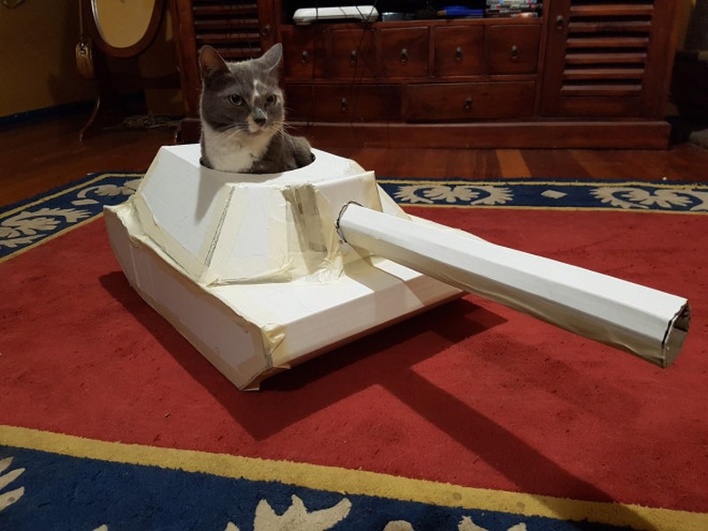 potret kucing karton tank