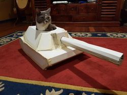 Hilangkan Bosan Isolasi, Pemilik Kucing Buatkan Tank dari Kardus