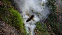 Sarang yang diasapi lebih memudahkan para pemburu untuk mengambil madu.