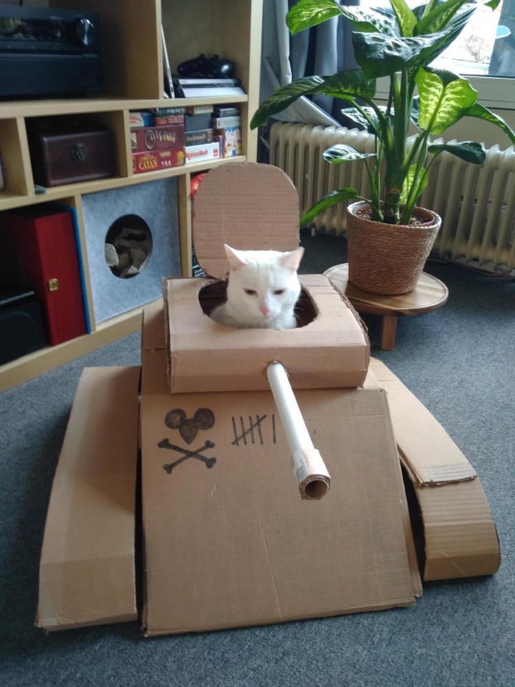 potret kucing karton tank potret kucing karton tank