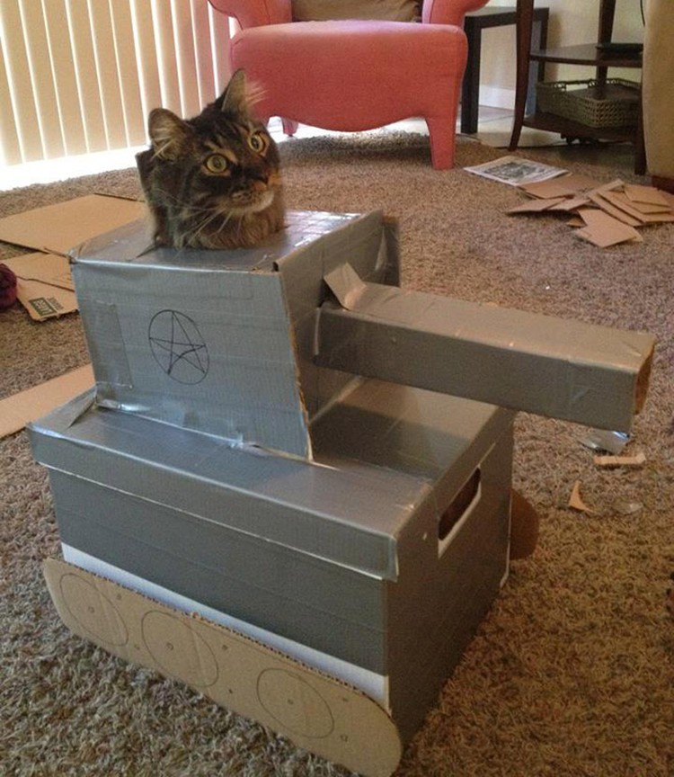 potret kucing karton tank
