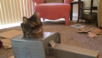 Seperti ini bermodal kotak sepatu. (Foto: sadanduseless)