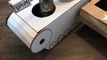 Selama pandemi tentu orang-orang jadi punya banyak waktu di rumah saja, tak heran jika cara ini bisa membunuh rasa bosan. (Foto: sadanduseless)