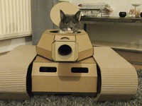potret kucing karton tank