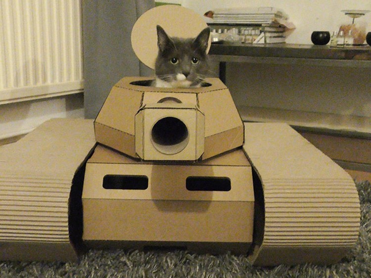 potret kucing karton tank