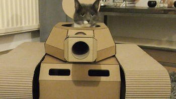 Tampak gahar ya! Cocok dengan wajah kucingnya (Foto: sadanduseless)