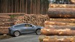 Tesla Babat Hutan untuk Pabrik Baru di Jerman