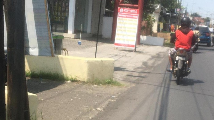 pamer alat kelamin
