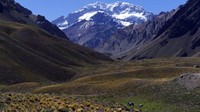 Mmenurut Mountain IQ, setidaknya 60% dari sekitar 4.000 pendaki tahunan Gunung Aconcagua tidak mencapai puncaknya. Konon, gunung ini memiliki tingkat kematian pendaki tertinggi di Amerika Selatan