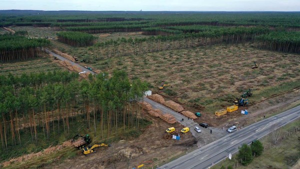 Tesla Babat Hutan untuk Pabrik Baru di Jerman