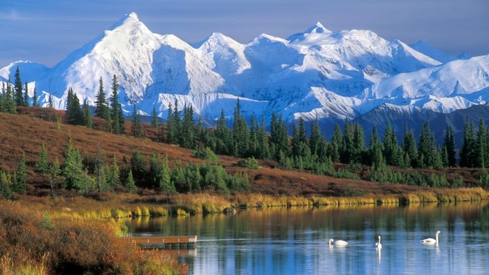 7 gunung tertinggi di dunia, everest, elbrus, aconcagua, puncak jaya, vinson massif, denali, dan kilimanjaro