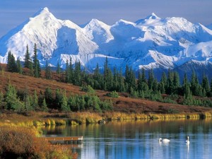 Nahas! Pendaki Jepang Jatuh Terkubur Jurang Es di Gunung Denali