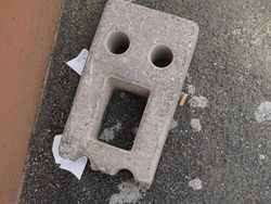 Apakah Kamu Melihat Penampakan Wajah Lucu di Deretan Foto Ini?