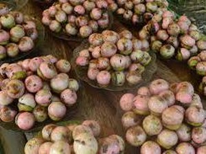 Makanan dan Kebudayaan Khas Kalimantan Selatan, Apa Sih?