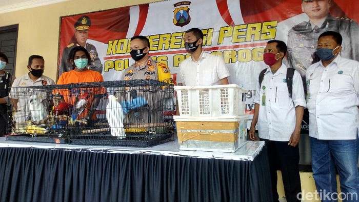 pemuda asal Malang diamankan jual burung langka
