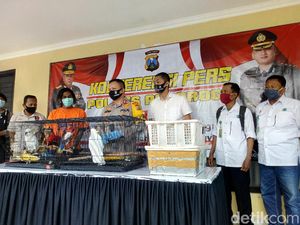 Pemuda Asal Madiun Ini Diamankan Gegara Jual Burung yang Dipeliharanya