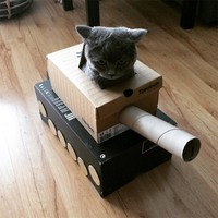 potret kucing karton tank