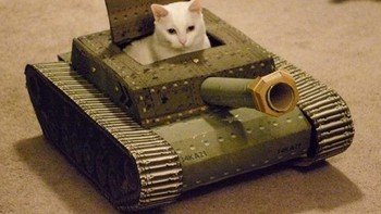 Cara membutnya pun bisa liat tutorialnya di YouTube, pasti banyak. (Foto: sadanduseless)