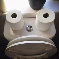 Pareidolia